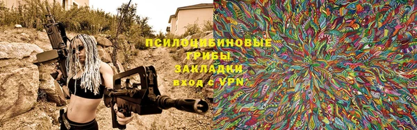 PSILOCYBIN Дмитровск