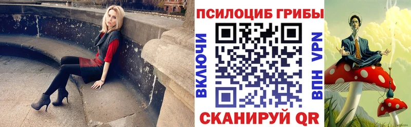 Псилоцибиновые грибы мицелий мега вход Правдинск